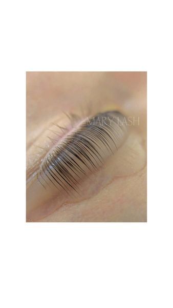 Vivienne Dolly Lash Валики для ламинирования &mdash; фото 3