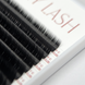 Вії 0,05 Mix Black Volume Lashes вигин С Mix 6-11 ML48373 фото 1