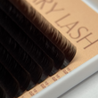 Ресницы Brunette Espresso Volume lashes 0,07 изгиб CС 10