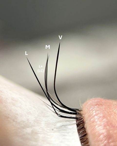 Вії 0.05 Brunette Espresso Volume lashes Mix 20 ліній &mdash; фото 11