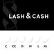 Ресницы DARK CHOCOLATE LASH&CASH, микс 28 линий 0,07 и 0.1 02 фото 3