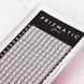 PRIZMATIC Пучки на ленте черные 4D 0.07 изгиб L Mix 8-14 ML03219 фото 2