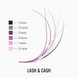 Ресницы dark chocolate LASH&CASH 0.10 изгиб С Mix 7-13 02796 фото 4